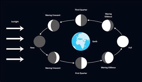 First Quarter Moon Phase Diagram