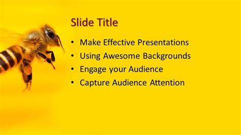 Free Honey Bee PowerPoint Template - Free PowerPoint Templates