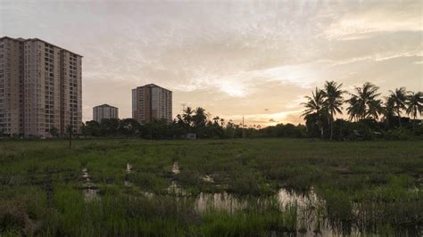 Timelapse sunset rice fields 8921155 Stock Video at Vecteezy