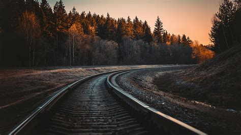 Railway Track Between Spring Autumn Green Trees Forest During Sunrise ...