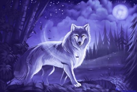 Mystic Wolf - Other & Abstract Background Wallpapers on Desktop Nexus (Image 2478811)