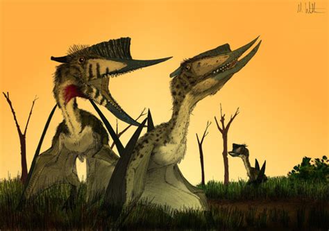 Pterosaur Net :: Gallery