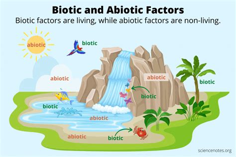 Biotic and Abiotic Factors in Ecology