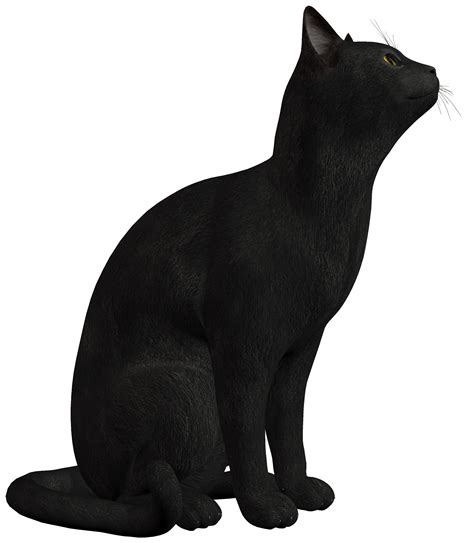 Black Cat PNG Clipart - Best WEB Clipart