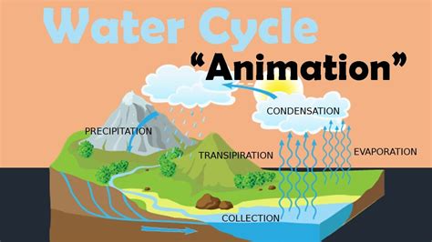 Water Cycle Diagram Youtube