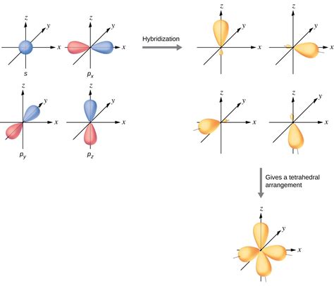 5.5 Hybrid Atomic Orbitals | General College Chemistry I