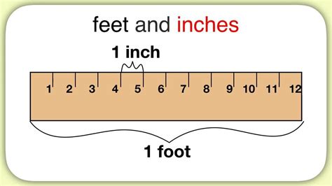 Measurement (Feet and Inches) | First grade math, Math patterns, Math ...