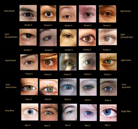 Eye colour chart with photos of real eyes. | Advanced Novel Writing Resources | Pinterest ...