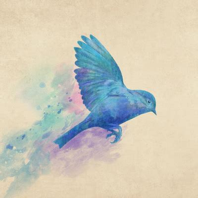 Blue Bird Flying Drawing at PaintingValley.com | Explore collection of Blue Bird Flying Drawing