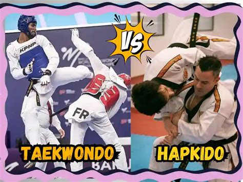 Hapkido vs Taekwondo: Key Differences and Similarities Explained ...