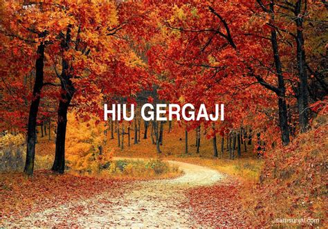 Arti Kata Hiu Gergaji - Kamus Besar Bahasa Indonesia (KBBI) - Samsurijal.com