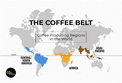 The Coffee Belt