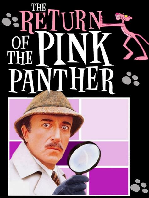 Pink Panther Jokes - Ana Part