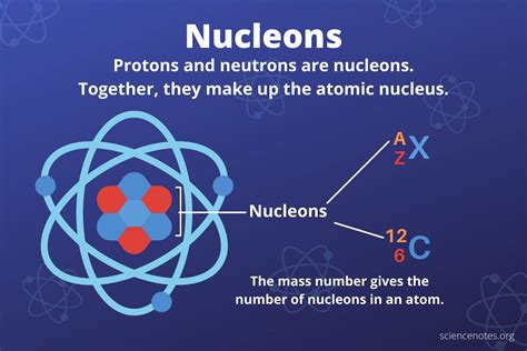 What Are Nucleons? Definition and Examples