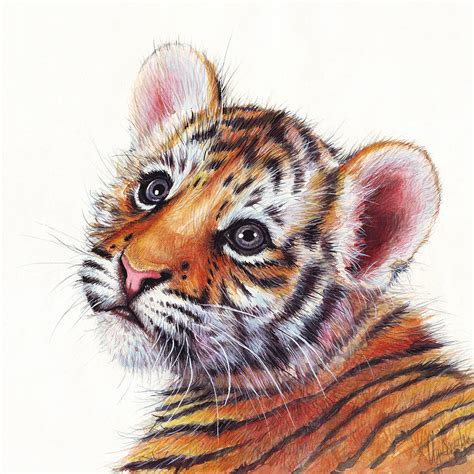 Tiger Cub Watercolor Painting Painting by Olga Shvartsur - Fine Art America