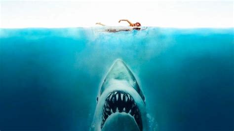 Revisiting the iconic scenes from the first Summer blockbuster: Steven Spielberg’s JAWS (1975 ...