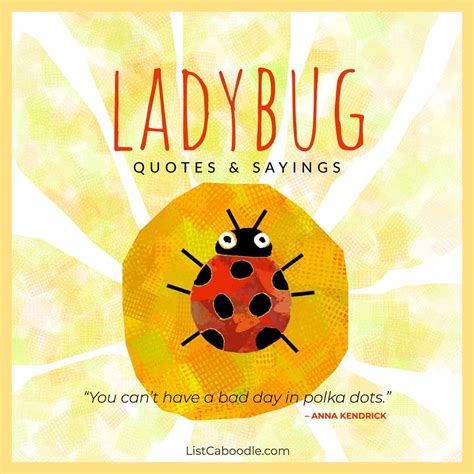 50+ Ladybug Quotes (To Bring You Good Luck!)