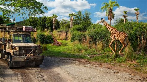 Kilimanjaro Safaris | Animal Kingdom Attractions | Walt Disney World Resort