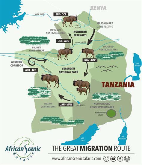 Serengeti Wildebeest Migration, Excursions, Activities & Packages 2023