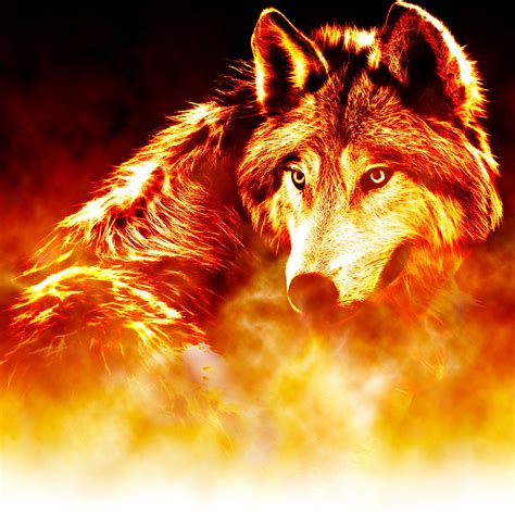 Fire Wolf Wallpapers - Top Free Fire Wolf Backgrounds - WallpaperAccess