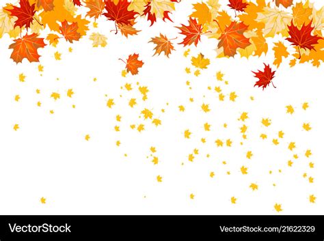 Fall leaves isolated Royalty Free Vector Image