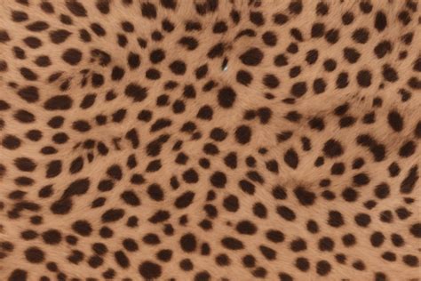 Cheetah Skin Texture Graphic by mimishop · Creative Fabrica