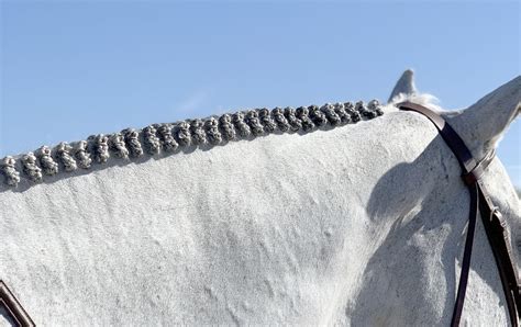 Braiding Her Own Horse is Part of Amateur and Lawyer Erin Prutow's Show Prep - The Plaid Horse ...