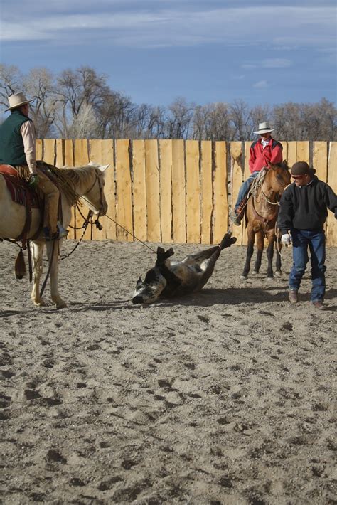 Wyoming Mama: Sesame Street Cowboy