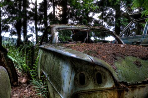 Forest Full of Abandoned Cars Photos | Image #13 - ABC News