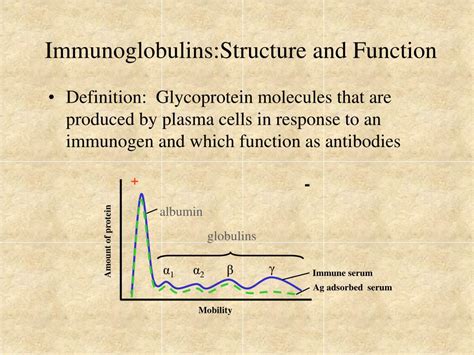 PPT - Immunoglobulins: Structure and Function PowerPoint Presentation - ID:388146