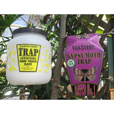 Oak Stump Gypsy Moth Trap | The Home Depot Canada