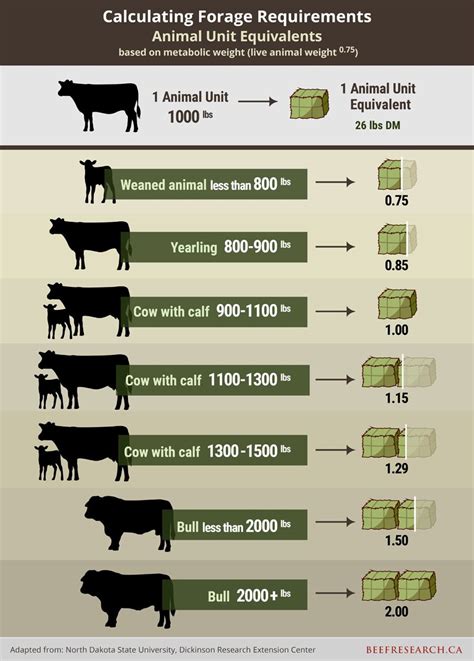 Livestock Business Plan Template