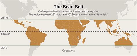 The Many Types of Coffee Beans - Procaffeination