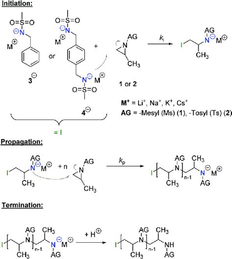 Scheme 1 Mechanism of the living anionic ring-opening polymerization of ...