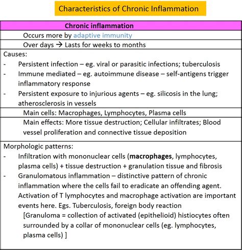 III. What are the types of inflammation? | Pathology Demystified