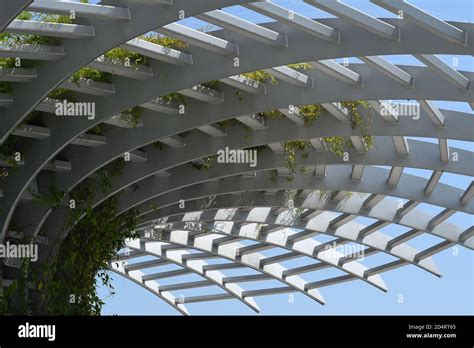 Canopy Structure High Resolution Stock Photography and Images - Alamy