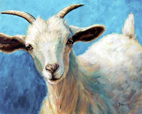 Snowflake, a baby cashmere goat Painting by Dottie Dracos - Fine Art America