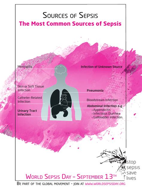 Sepsis Awareness Poster - Sources Pink | PDF