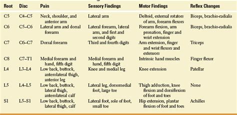 Patellar Tendon Reflex Nerve Root - slideshare