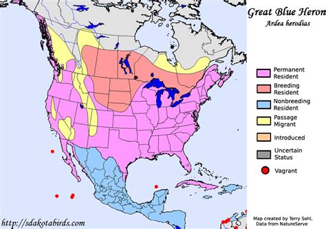 Great Blue Heron - Species Range Map