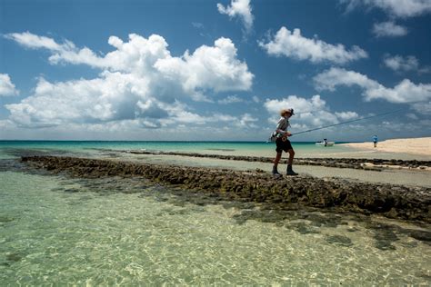 East Coast Angling - Fly Fish the Great Barrier Reef Flats | Yellow Dog Flyfishing