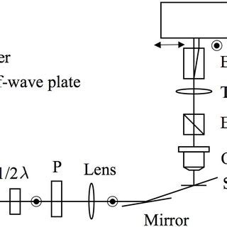 Structure of Alexa Fluor 488. | Download Scientific Diagram