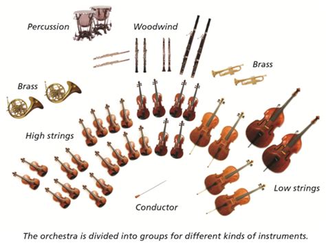 Gallery For > String Instruments Orchestra