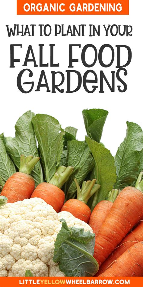 Fall Vegetables For Garden Planting - What Will Grow Well?