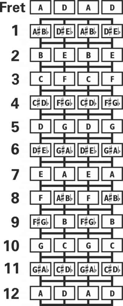 How to Tune an Irish Bouzouki: Full Tuning Guide – Fret Expert