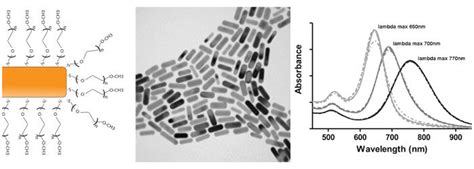 Gold Nanorods | Cytodiagnostics Inc