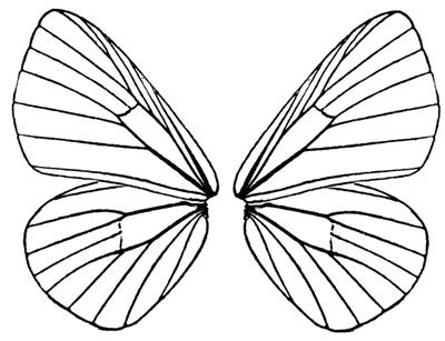 Free Butterfly Wings Cliparts, Download Free Butterfly Wings Cliparts ...