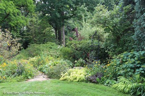 25-Into the woods-Susan Beard | Janet Davis Explores Colour