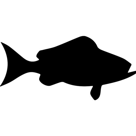 Fish Black Grouper Side View Vector SVG Icon - SVG Repo