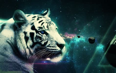 White Tiger Wallpaper Hd - WallpaperSafari